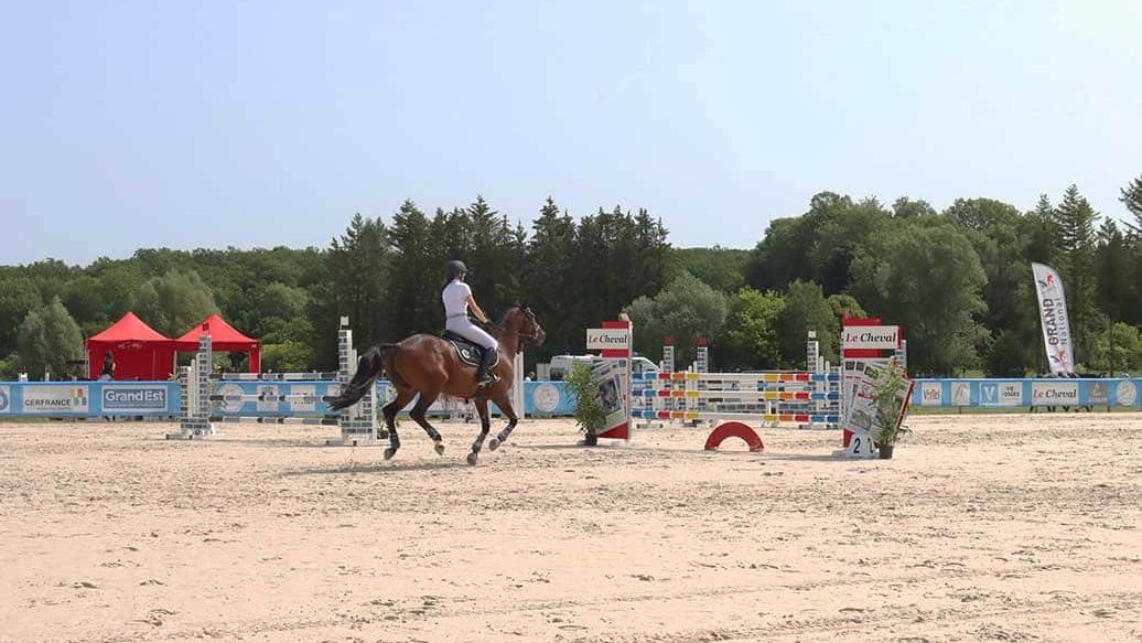 Num recinto de espectáculos, uma cavaleira enfrenta um obstáculo com o seu cavalo.