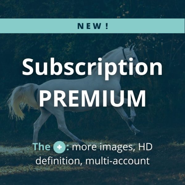Assinatura - Premium